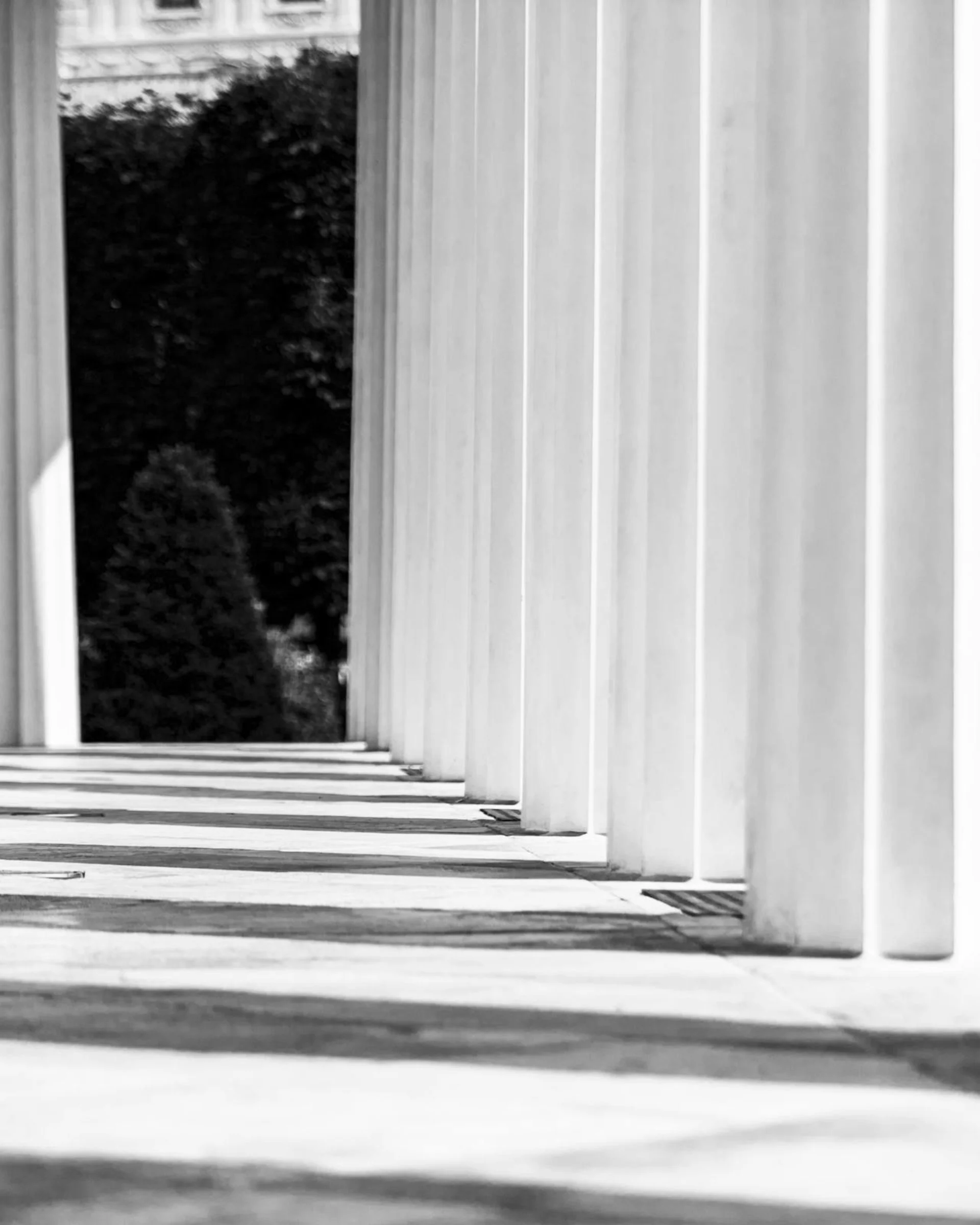 Black and white moody photograph of courthouse columns under raking light. STOCK PLACEHOLDER - swap with Sierra-supplied legal-brand creative.